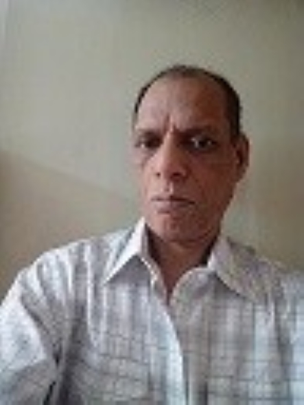 G K agrawal , electrical and electronics engineering professional