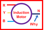 Why to use neutral in induction motor